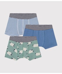 PETIT BATEAU(v`og[)̃gNXRg(gNX)
