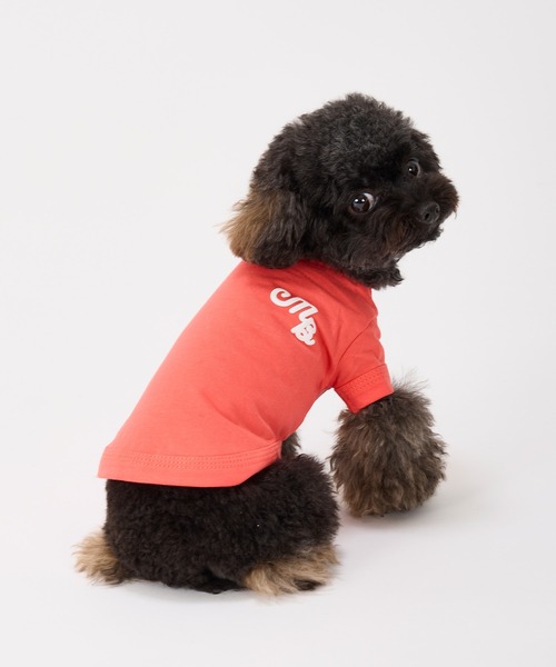 MANDARINE BROTHERS（マンダリンブラザーズ）の「【接触冷感/防虫】パフィーロゴクールTシャツ/小型犬/XS/S（ペットウェア・レディース・ブルー系その他/コーラル/ライトグレー/アイボリー・S/XS）」の4枚目の写真