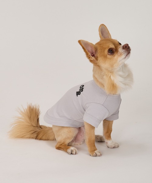 MANDARINE BROTHERS（マンダリンブラザーズ）の「【接触冷感/防虫】パフィーロゴクールTシャツ/小型犬/XS/S（ペットウェア・レディース・ブルー系その他/コーラル/ライトグレー/アイボリー・S/XS）」の17枚目の写真