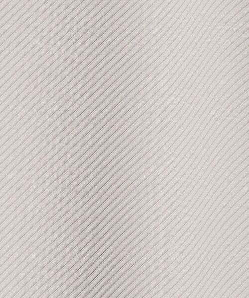 green label relaxing（グリーンレーベルリラクシング）の「ツイル パフ クルーネック カットソー（Tシャツ/カットソー・メンズ・ネイビー/ダークグレー/パープル/ライトグレー/ホワイト・XL/L/M/S）」の9枚目の写真