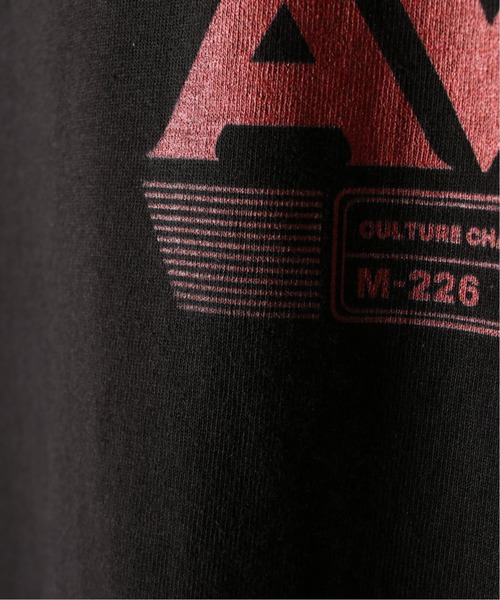 AVALONE（アヴァロン）の「【AVALONE / アヴァロン】CULTURE CHAMELEON TEE（Tシャツ/カットソー・メンズ・ブラック/ホワイト・2/3）」の4枚目の写真