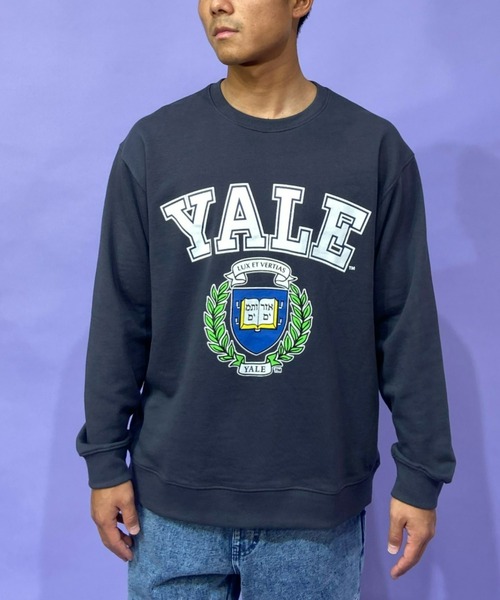 ANTIBAL(アンティバル)の「【ムラサキスポーツ別注】ANTIBAL/アンティバル YALE カレッジプリントスウェット 221AN1TR015MU(スウェット・メンズ・グレー/グレー系その他/ネイビー・L/M)」の1枚目の写真