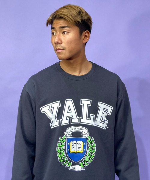 ANTIBAL(アンティバル)の「【ムラサキスポーツ別注】ANTIBAL/アンティバル YALE カレッジプリントスウェット 221AN1TR015MU(スウェット・メンズ・グレー/グレー系その他/ネイビー・L/M)」の6枚目の写真