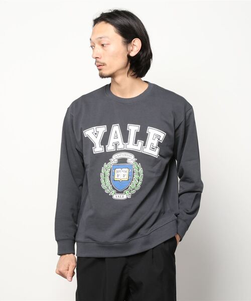 ANTIBAL(アンティバル)の「【ムラサキスポーツ別注】ANTIBAL/アンティバル YALE カレッジプリントスウェット 221AN1TR015MU(スウェット・メンズ・グレー/グレー系その他/ネイビー・L/M)」の16枚目の写真