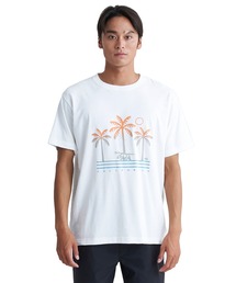 Quiksilver（クイックシルバー）の「CA BEAR COUNTRY ST/クイックシルバー古着・ヴィンテージ加工半袖Tシャツ（Tシャツ/カットソー・メンズ）」