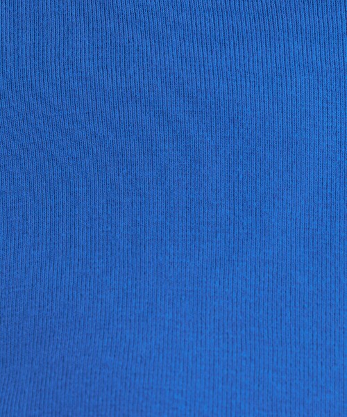 gicipi（ジチピ）の「＜gicipi＞FRAGORA ロングスリーブ カットソー（Tシャツ/カットソー・レディース・ブラック/オフホワイト/その他1/コバルトブルー・FREE）」の20枚目の写真