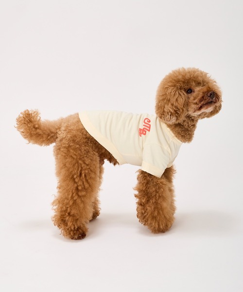 MANDARINE BROTHERS（マンダリンブラザーズ）の「パフィーロゴクールTシャツ/小型犬/M/MD/L（ペットウェア・レディース・ブルー系その他/コーラル/ライトグレー/アイボリー・M/MD/L）」の6枚目の写真