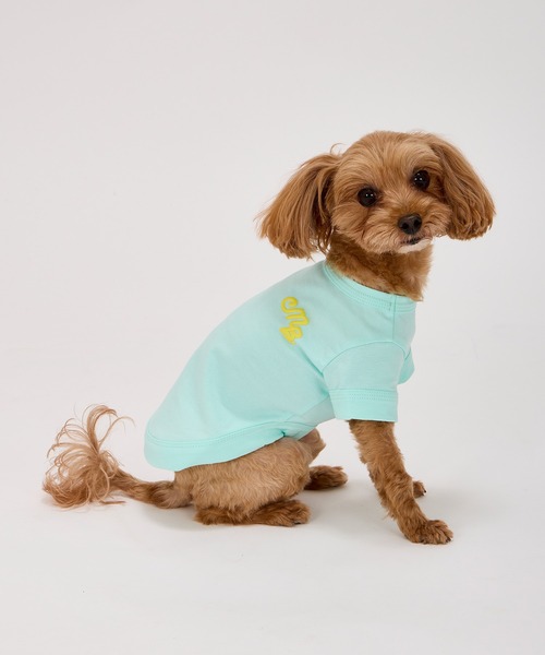 MANDARINE BROTHERS（マンダリンブラザーズ）の「パフィーロゴクールTシャツ/小型犬/M/MD/L（ペットウェア・レディース・ブルー系その他/コーラル/ライトグレー/アイボリー・M/MD/L）」の9枚目の写真