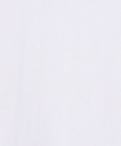 Le Minor（ルミノア）の「【別注】Le Minor コットン ロングスリーブTシャツ（Tシャツ/カットソー・メンズ・ホワイト/ネイビー/ライトブルー・1/2/0）」の13枚目の写真