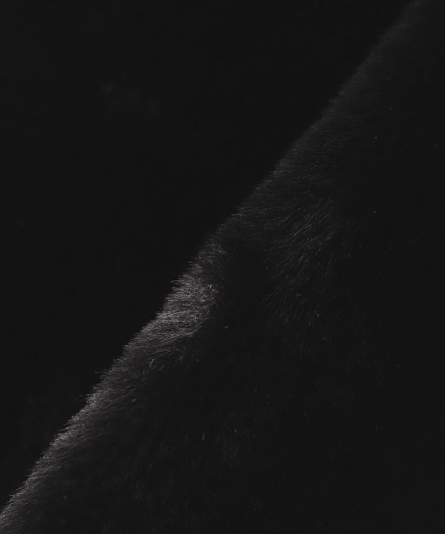 TATRAS（タトラス）の「TATRAS(タトラス) YUMOLA（ブルゾン・レディース・ライトグレー/ブラック・1/2）」の12枚目の写真