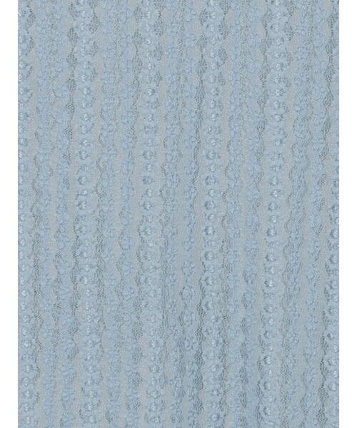 Te chichi(テチチ)の「ストレッチレーストップス《2026 spring catalog item》(Tシャツ/カットソー・レディース・オフホワイト/クリーム/サックスブルー・F)」の20枚目の写真