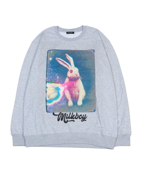 MILKBOY(ミルクボーイ)の「ANIMAL スウェット(スウェット・メンズ・A/B/C/D・FREE)」の2枚目の写真