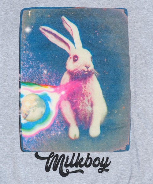 MILKBOY(ミルクボーイ)の「ANIMAL スウェット(スウェット・メンズ・A/B/C/D・FREE)」の12枚目の写真