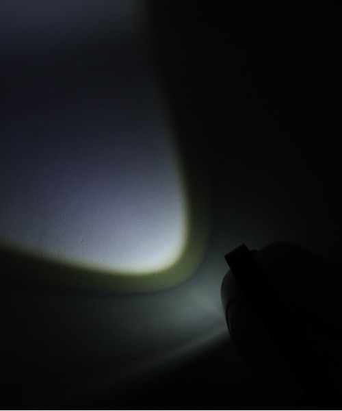 moncheri（モンシェリ）の「LEDロングリード5m（リード/ハーネス/首輪・レディース・ホワイト・FREE）」の11枚目の写真