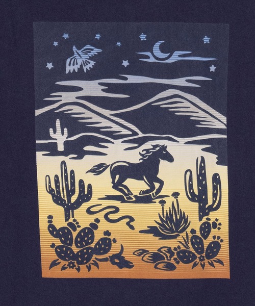 PENDLETON(ペンドルトン)の「PENDLETON/ペンドルトン バックプリント ロングスリーブ Tシャツ(Tシャツ/カットソー・メンズ・ライトグレー/ブルー/チャコールグレー・MEDIUM/LARGE)」の12枚目の写真