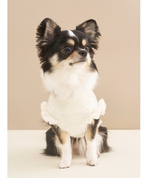 gelato pique（ジェラートピケ）の「【CAT&DOG】オータムケーキジャガードプルオーバー（ペットウェア・レディース・レッド/ピンク/クリーム・S/M/L）」の11枚目の写真