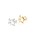 Casselini�i�L���Z���[�j�j�́uCasselini(�L���Z���[�j)�X�^�[���C�������O�i�����O�j�v�b�S�[���h
