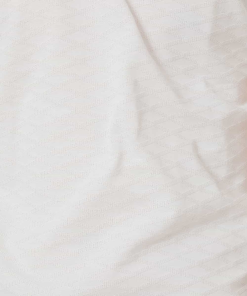 MICHEL KLEIN HOMME   （ミッシェルクランオム）の「カットソー（クリスタルリンクス）（Tシャツ/カットソー・メンズ・ホワイト/ブルー/クリーム・46/48）」の6枚目の写真
