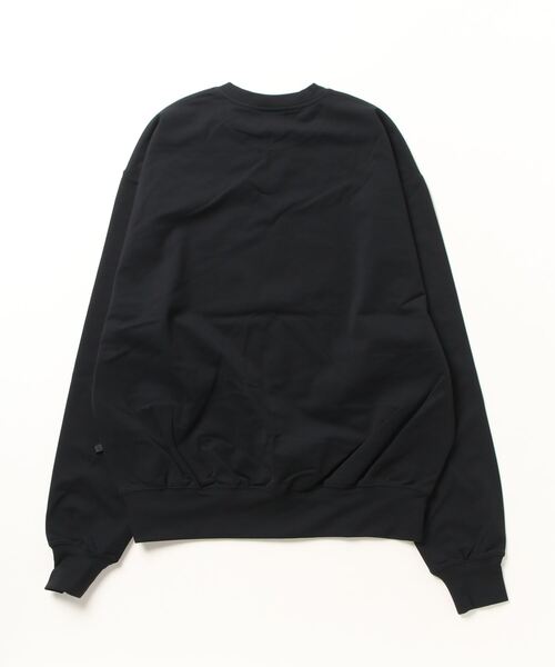 DAIWA PIER39（ダイワピア39）の「DAIWA PIER39 TECH FLEX JERSEY CREW