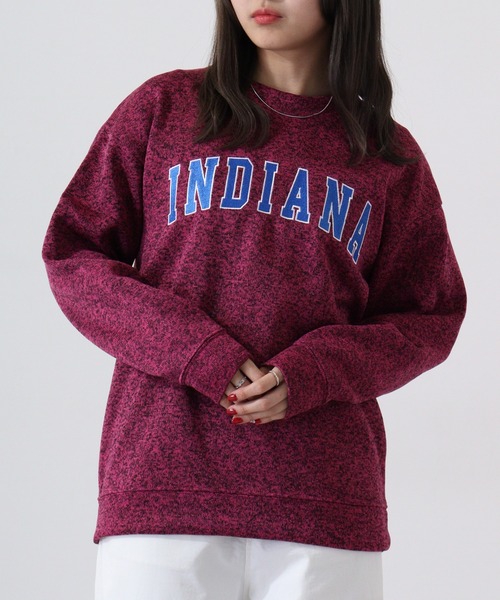 ACE(エース)の「ACE ニットフリース カレッジ 刺繍 トレーナー(ニット/セーター・レディース・ヘザーチャコール/ターコイズブルー/ワイン/カーキ/ネイビー/杢グレー・LL/L/M)」の6枚目の写真