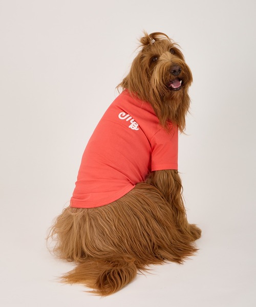 MANDARINE BROTHERS(マンダリンブラザーズ)の「パフィーロゴクールTシャツ/中型犬・大型犬/3L/4L/5L(ペットウェア・レディース・ブルー系その他/コーラル/アイボリー/ライトグレー・4L/5L/3L)」の4枚目の写真
