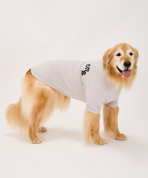 MANDARINE BROTHERS(マンダリンブラザーズ)の「パフィーロゴクールTシャツ/中型犬・大型犬/3L/4L/5L(ペットウェア・レディース・ブルー系その他/コーラル/アイボリー/ライトグレー・4L/5L/3L)」の5枚目の写真