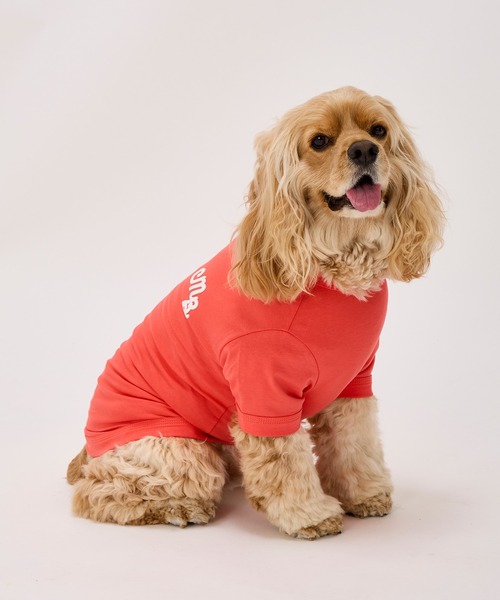 MANDARINE BROTHERS(マンダリンブラザーズ)の「パフィーロゴクールTシャツ/中型犬・大型犬/3L/4L/5L(ペットウェア・レディース・ブルー系その他/コーラル/アイボリー/ライトグレー・4L/5L/3L)」の12枚目の写真