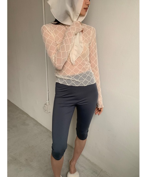 Didot.showroom（ディドット ショールーム）の「【DIDOT.】シアーダイヤレースTEE（Tシャツ/カットソー・レディース・ブラック/クリーム/ホワイト・FREE）」の5枚目の写真