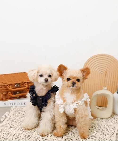 Ai様☆モルモット服 小花柄ワンピース２点&ヘタリボンヘアバンド２点 犬の服 犬 ワンピース 【小型犬】 小花柄 / PET PARADISE