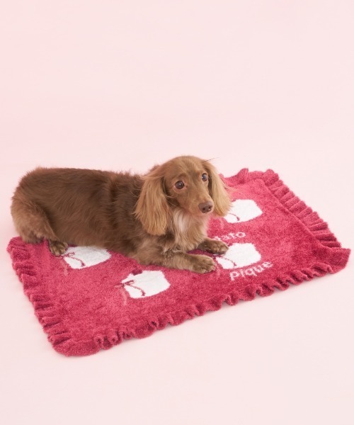 【専用】正規品♡新品 ジェラートピケ ダックスフントジャガードブランケット 正規品♡新品 ジェラートピケ ダックスフントジャガード