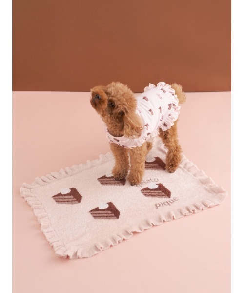セール】【CAT&DOG】オータムケーキジャガードブランケット（その他