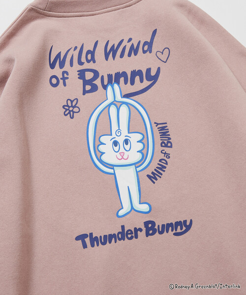セール】限定展開 Thunder Bunny/サンダーバニー / 別注 ビッグ
