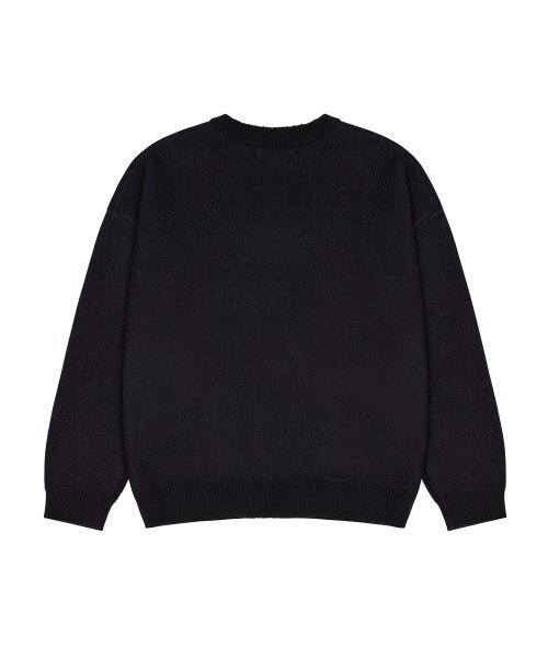 LUVISTRUE（ラヴイズトゥルー）の「RC BIKE KNIT(NAVY)（ニット/セーター・レディース・その他・FREE）」の3枚目の写真