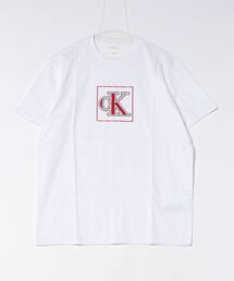 【CALVIN KLEIN】ボックスロゴTシャツ 半袖 シンプル クルーネック