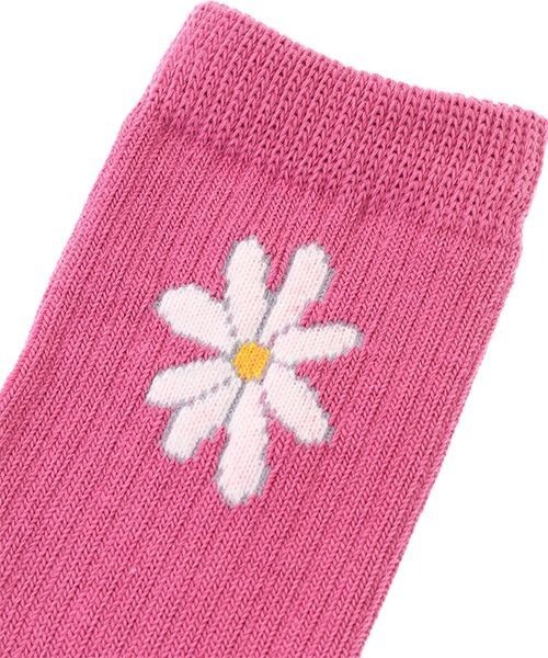 Candy Stripper(キャンディストリッパー)の「DAISY RIB SOCKS(ソックス/靴下・レディース・ブラック/グリーン/ピンク・FREE)」の6枚目の写真