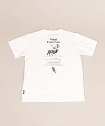 【SHIPS別注】NOWARTT: オーガニックコットン プリント Tシャツ