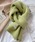 Girly DolliK[[h[j́ux[VbNJoVv}t[i}t[jvbCgO[