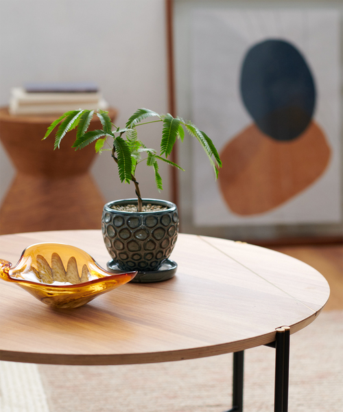 SQUARE ROOTS/スクエアルーツ】COFFEE TABLE コーヒーテーブル