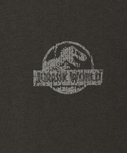ALWAYS GOOD TIME（オルウェイズグッドタイム）の「【JURASSIC PARK/ジュラシックパーク】ピグメント風/プリント 半袖Tシャツ（Tシャツ/カットソー・レディース・ブラック系1/ブラック系2/ホワイト系1/ホワイト系2・L/M/LL）」の14枚目の写真