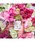 GUERLAIN�i�Q�����j�́u�A�N�A �A���S���A ���[�U ���F���f�i�����j�v�b���̑�