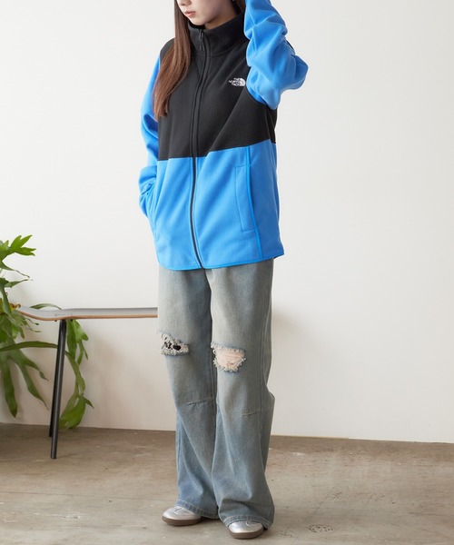 日本未発売 THE NORTH FACE/ザノースフェイス M ALPINE POLARTEC 100