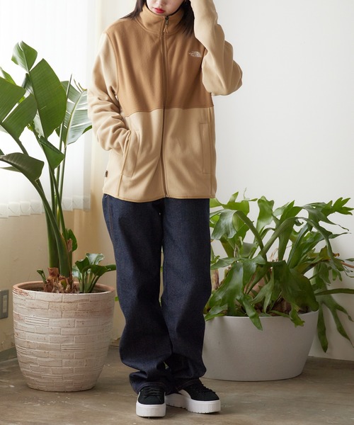 日本未発売 THE NORTH FACE/ザノースフェイス M ALPINE POLARTEC 100