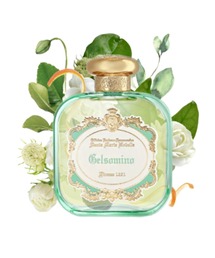オードパルファム アクア 100mL（香水）｜Santa Maria Novella