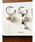 tone�i�g�[���j�́u�yLe soleil�z�����ȃR�b�g���p�[���@�t�[�v�C�������O(MA)�i�C�������O�j�v�b�V���o�[