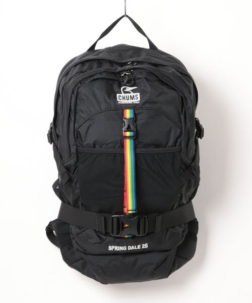 CHUMS（チャムス）の「【CHUMS/チャムス】 Spring Dale 25（バックパック/リュック・レディース・ブラック系その他/ブラック×ホワイト・FREE）」の11枚目の写真