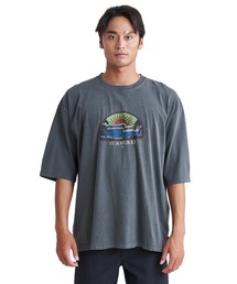 BLAZING SUN ST/クイックシルバーピグメント加工5分袖Tシャツ