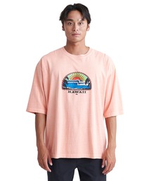 BLAZING SUN ST/クイックシルバーピグメント加工5分袖Tシャツ