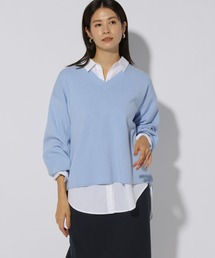 Elura | 濃密なめらかVネックプルオーバー/250655(ニット/セーター)