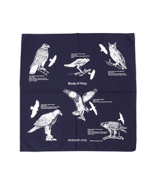 A&F（エーアンドエフ）の「【MADE IN USA】The Printed Image プリンティッドイメージ ネイチャープリントバンダナ（バンダナ/スカーフ）」