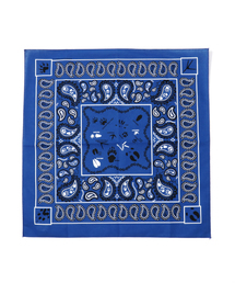 A&F（エーアンドエフ）の「【MADE IN USA】The Printed Image プリンティッドイメージ ネイチャープリントバンダナ（バンダナ/スカーフ）」